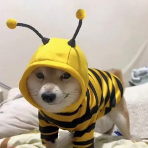Adorable Bee Costume Hoodie Sweatshirt for Small Dogs And Cats Autumn Winter Cute Shiba Inu Teddy Puppy Dog Pet Clothing