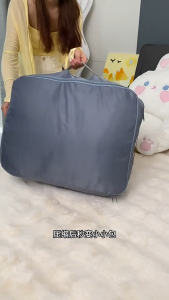 Bag Organizer Storage Compartment Organizer Compression Bag Bedsheet Blanket Pillow Comforter Storage Bag  壓縮袋