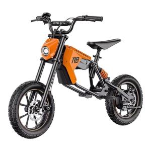 BAOFENGQISHI | Compact Portable Electric Motorcycle Youth