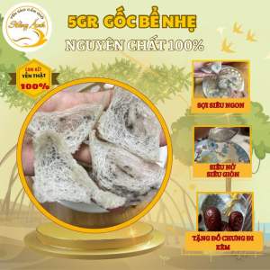 HCM- 5gr Gốc yến thô nhỏ vỡ nhẹ chưa nhặt lông - Yến thô chưa nhặt lông - Tặng kèm đồ chưng