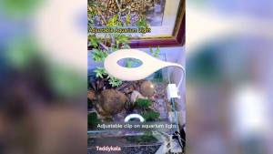 0.5-5 Gallon Fish Tank Clip On Aquarium Light with White Blue Red LEDs Small Aquarium LightFull Spectrum Fish Tank Light with USB Port and 360 Degrees Flexible Rotate