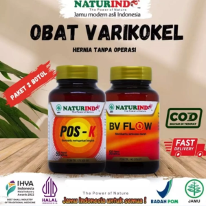 Obat Varikokel Hernia Tanpa Operasi Buah Zakar Bengkak Dan Nyeri Herbal Naturindo