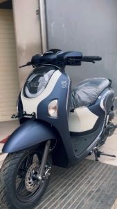 Striping Stiker Honda SCOOPY 2024 2025 Fashion Fullset