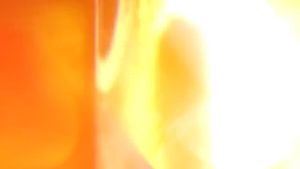 Nintendo Switch Various Daylife (Asia)(English/Chinese)(NEW)