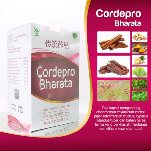 Cordepro Bharata-obat untuk kencing batu-Batu ginjal-Batu empedu