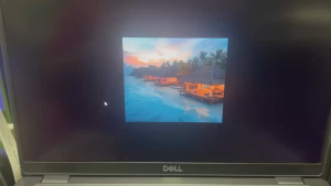 Dell latitude 5400 core i5 8th gen win 11 pro 8/256 14 inch Ms office preloaded 2021 rarely used in good condition discounted item so NO VOUCHER ACCEPTED
