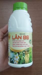 LÂN 86 Thúc Ra Hoa Dồng Loạt Trái Vụ Phân Hóa Mầm Hoa Ra Hoa Đồng Loạt Kích Rễ - Chai 500ML