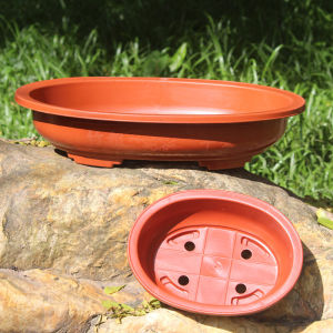 ถ้วยพลาสติกขนาดใหญ่รูกลมสำหรับปลูกผักในบ้าน ชั้นวางของ ช่องระบายอากาศ สไตล์คลาสสิก ใช้ได้หลากหลาย