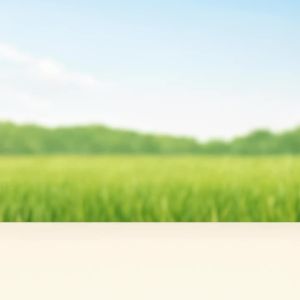 Petcher Tick and Flea Spot-On Solution Anti-Itching Pet Grooming Topical Hair Care for Dogs and Cats