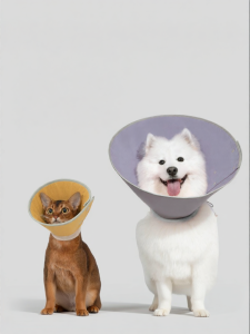 HiDREAM | Breathable Lick Protection Dog Collar