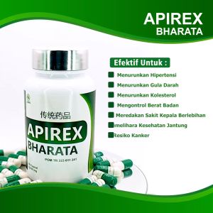 100% ORIGINAL - APIREX BHARATA - OBAT HERBAL SAKIT KEPALA VERTIGO DARAH TINGGI MIGRAIN PUSING