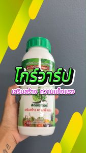 ต้นพืชแข็งแรงสมบูรณ์ ต้านทานโรคและแมลง เร่งเปิดตาใบ อัตราการงอกสูง โกร์วาร์ป 1 ขวด สารเพิ่มประสิทธิภาพเพื่อการเจริญเติบโตของพืช การติดดอกออกผลได้ดี
