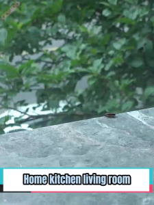 ✅ Buy 2 free 1✅ Japan Cockroach Gel Bait Fast Roach Killing Perfect for Kitchen & Home Chain Kill Effect Cockroach Killer Repellent Cockcroach