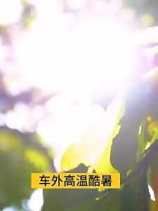 【Ship today】Car sunshade umbrellas car windshields car sunshades car reflectorsUV reflectors front window interior Outdoor car sunshade umbrella car reflector ultraviolet reflector car windshield car sunshade front window internal protection