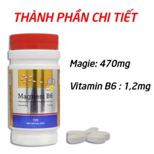Viên uống Magiesium -B6 giảm suy nhược thần kinh căng thẳng đau cơ bắp chuột rút - 120 viên [Magnesi B6 Chai]