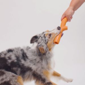 BECO Super Stick Natural Rubber Chew Toy for Dogs