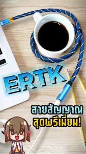 ERTK RCA to RCA สีฟ้า สาย RCA สําหรับเครื่องเสียง