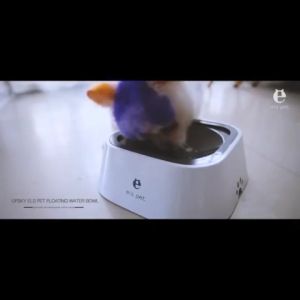 Pet Dog Water Bowl No Wetting Mouth Slow Water Feeder Dog Bowl Automatic dog water Drinker dispenser