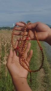 Tasbih Kokka Bulat 99 Original Kayu Kauka Asli Model Kalung Benukoka - Muslim, Cantik