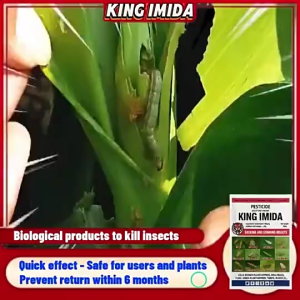 [HOT SALE BUY 2 GET 2] King Imida 100g: Eco Protection Guard Against Aphids Whiteflies Plant Hoppers Mealybugs Control Innovation