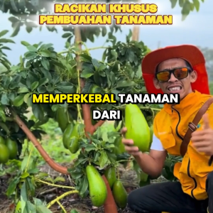 Queen Tonic Pupuk Cair Perangsang Buah & Bunga – Cepat Panen untuk Semua Tanaman