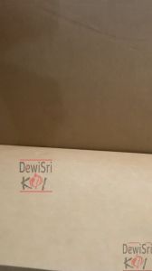 Karang Jahe Premium 8Kg Media Filter Biologis Kolam Koi Aquarium Penstabil pH Air Anti Keruh & Bau