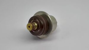 0280160592 3.5Bar 4.0Bar Fuel Pressure Regulator For Ford Falcon Omega 3.8L GM Holden Berlina VT Crewman PR4047