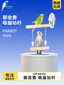 Acrylic Parrot Window Suction Cup Swing Stick Natural Wood Tiger Skin Station Rod Bird Toy New Arrival Pet Supplies