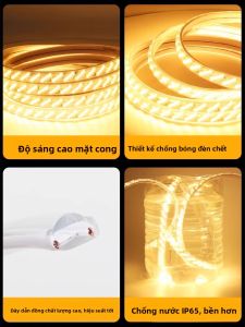 RUILUO | Ultra Bright LED Light Strip 5 Rows 320 Beads