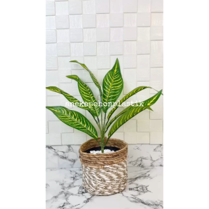 Tanaman Artificial Pohon Hias Daun Aglonema Zebra List Kuning X9 Cover Pot Seagrass Coklat Mini Hiasan Meja Kantor Hiasan Meja Cafe Aesthetic
