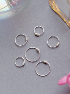 925 Sterling Silver Earrings Womens Fashion Small round Hoop Earrings Simple Winter Ear Studs Ear Care Jewelry Accessories