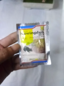 Rodentisida Kovinplus 80 P Untuk Mengendalikan tikus sawah 15 Gram