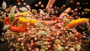 【六婆】2g*10袋 六婆辣椒面 香辣蘸料干碟 Chili Powder