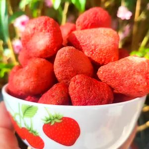 500G Sữa chua sấy giòn + Dâu tây sấy Mix 4 Vị Dâu tây Việt Quất Đào Truyền thống Date Mới Nhất