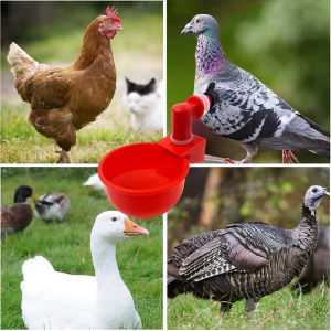 GotGo ถ้วยให้น้ำอัตโนมัติ สำหรับไก่ 4 ชิ้น 6 ชิ้น Automatic drinker