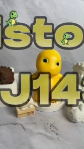 WJ1431.mp4