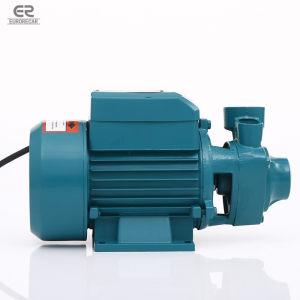 220V 370W Electric Water Pump Heavy Duty Booster Jet Pump 0.5HP Portable Booster Pump Peripheral Jet Water Pump