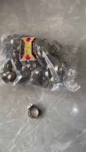 Klem Selang Stainless / Hose Clamp 1/2\" 3/4\" 1\" (Tebal 8mm) 100PCS Harga Paling Murah