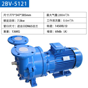 High Vacuum Water Ring Pump Industrial Use Circulating Liquid Vacuum Pump Compressor Cast Iron Material Electric Drive