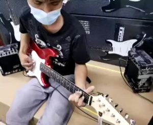 Jss Skywing/Global/Pulse/Davis/knight electric guitar (Original)