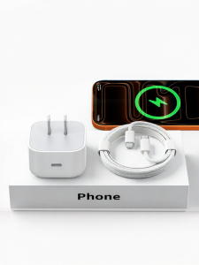 DOONPI | Dynamic Fast Charging Charger