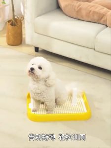 Dog Training Potty Pad Pet Dog Cat Toilet Pee Potty Trainer Pee Trainer Toilet (Stand Included) Multi-color Options