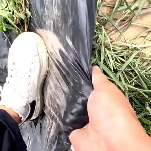 พลาสติกปูบ่อ 4×4 4×5 4×6 4×8 เมตร สีดำ หนา 0.5 มิล ผ้ายางปูบ่อ ปูบ่อน้ำ ปูบ่อปลา สระน้ำ โรงเรือน พลาสติกโรงเรือน Greenhouse บ่อน้ำ สระน้ำ LDPE