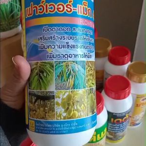 เฟาว์เวอร์-แม็ก 42 สาหร่ายทะเลเข้มข้น ช่วยให้ผลผลิตดก แตกดอกแตกใบติดดอกผลดก