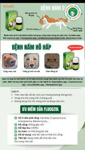 Vemedim Flucozol Dạng Uống hoặc Bôi cho Chó Mèo Tri Nấm Ngoài Da Nấm Hô Hấp - Chai 30ml