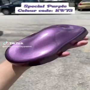 KAWAN PAINT - KW73 SPECIAL PURPLE PAINT BY SUPERSTAR BRAND