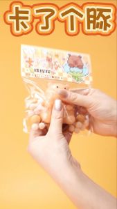 TAIYO Taba Squishy Pinch Capybara Pencet Soft Lucu Hewan Mainan