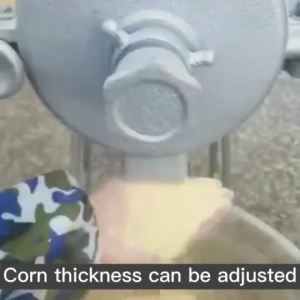 Portable Grinder Wet Grinder Corn Grinder Rice Grinder Coffee Grinder Peanut Grinder