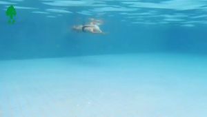Swimming Short Fins Snorkeling Kids Swimming Flippers Training Fins Scuba Freediving Children Diving Equipmen Silica Gel