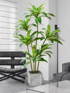 High-end Brazilian Imitation Plant Indoor Decor